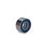 NAPINACZ PASKA INA 532037820 RENAULT 3.0DCI V6 00- rp