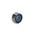 NAPINACZ PASKA INA 532037820 RENAULT 3.0DCI V6 00- rp
