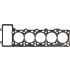 USZCZELKA GŁOWICY VICTOR REINZ 61-35955-10 VW 5.0TDI V10 cyl1-5 02-