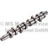 WAŁEK ROZRZĄDU KOLBENSCHMIDT 50006343 VW 1.9-2.0TDI 03-08