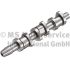 WAŁEK ROZRZĄDU KOLBENSCHMIDT 50006388 VW 1.4TDI 99-