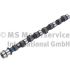 WAŁEK ROZRZĄDU KOLBENSCHMIDT 50006310 MITSUBISHI 2.5D 4D56