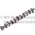 WAŁEK ROZRZĄDU KOLBENSCHMIDT 50006109 VW 5.0TDI 02-05