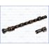 WAŁEK ROZRZĄDU AJUSA 93096900 NISSAN 16V 2.0 96-