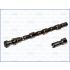 WAŁEK ROZRZĄDU AJUSA 93093200 NISSAN 16V 2.0 96-