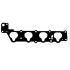 USZCZELKA KOLEKTORA SSĄCEGO BGA MG5568 FIAT 1.8 95-08