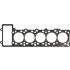 USZCZELKA GŁOWICY GLASER H11856-10 VW 5.0TDI V10 cyl1-5 02-