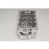 GŁOWICA AMC 908510 NISSAN 2.5DDTI 05-