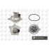 BGA CP14252 POMPA.WD CHR 3.3-3.8 V6 90-95