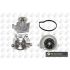 BGA CP3196 POMPA.WD M 1.4-1.9 M166 M668 97-04