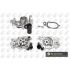 POMPA WODY BGA CP3170 RENAULT CLIO D7F,K7M