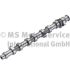 WAŁEK ROZRZĄDU KOLBENSCHMIDT 50006309 VW 1.6 00-