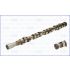 WAŁEK ROZRZĄDU AJUSA 93118300 FORD 2.5TD 98-01