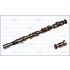 WAŁEK ROZRZĄDU AJUSA 93118400 FORD 2.5TD 01-