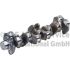 WAŁ KORBOWY BF 20050220660 MAN D2066 04-