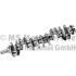 WAŁ KORBOWY BF 20050412300 VOLVO TD122 87-