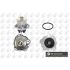 POMPA WODY BGA CP7082T PSA 3.0 V6 607 00-