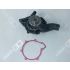 POMPA WODY OE GERMANY 022000082601 MAN D0826 -