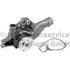 POMPA WODY BF 20160208263 MAN D0824 -