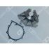 POMPA WODY OE GERMANY 022000206602 MAN D2066 -