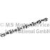 WAŁEK ROZRZĄDU BF 20100208361 MAN D0836 -