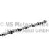 WAŁEK ROZRZĄDU BF 20100911600 DAF WS259 -