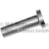 POPYCHACZ ZAWOROWY BF 20010228660 MAN D2866 89-