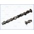 WAŁEK ROZRZĄDU AJUSA 93032600 MERCEDES 2.0D 93-00