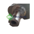 WAŁ KORBOWY MV PARTS D3533 RENAULT 2.0DCI M9R