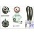 KOMPLET ROZRZĄDU INA 530036010 VW 1.4-1.6 97-