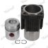 ZESTAW NAPRAWCZY GOETZE 8817250000 TŁOK+TULEJA DEUTZ F2/5L 912D67-72