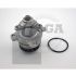 POMPA WODY BGA CP3502 RENAULT 16V 2.0DCI 06-