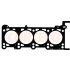USZCZELKA GŁOWICY CORTECO 415523P VW 4.0TDI 03-