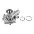 POMPA WODY BEPCO 7100-5067 PERKINS 704-30