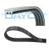 PASEK WIELOROWKOWY DAYCO 3PK960
