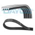 PASEK WIELOROWKOWY DAYCO 4PK905
