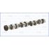 WAŁEK ROZRZĄDU AJUSA 93127800 BMW 16V 1.6-1.8 00-
