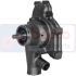 POMPA WODY BEPCO 30/130-49 PERKINS 6.354.4
