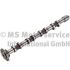 WAŁEK ROZRZĄDU KOLBENSCHMIDT 50007095 FORD 16V 2.0TDCI 01- ss.