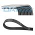 PASEK WIELOROWKOWY DAYCO 10PK1460HD