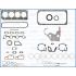 KOMPLET USZCZELEK SILNIKA AJUSA 50315900 RVI DCI4B150 01-06