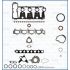 KOMPLET USZCZELEK SILNIKA AJUSA 51045300 FIAT 2.0D 06-
