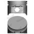 TŁOK GOETZE 8710420040 STD RENAULT 1.4-1.6 04-