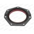 USZCZELNIACZ WAŁU TYŁ SIMMERRING PAYEN NF883 FORD T 2.5-2.8JTD 94-