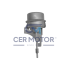 ZAWÓR WASTEGATE TS A4904 VW 2.5TDI 02-