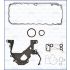 KOMPLET USZCZELEK BLOKU AJUSA 54167000 BMW 24V 3.0D 07-