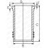 TULEJA CYLINDROWA GOETZE 1445088000 IVECO 8460.21 86-