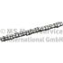 WAŁEK ROZRZĄDU BF 20100413000 VOLVO D13A 05-