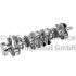 WAŁ KORBOWY BF 20050412003 VOLVO D12 95-