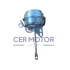 ZAWÓR WASTEGATE TS A5501 VW 2.5TD 05-